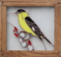 LesserGoldfinch